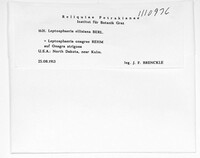Image Associated With the Occurence